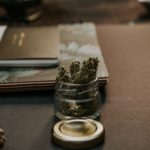 Cannabis in a Jar