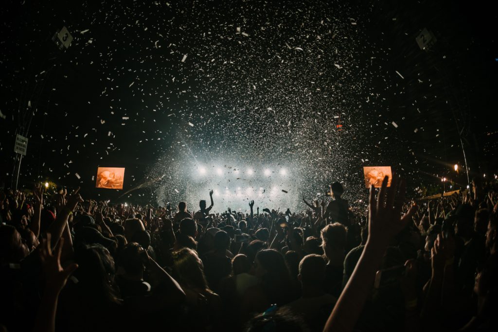 Crowd at a Music Festival